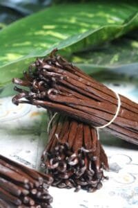 African Vanilla Exporters and Importers +276315012