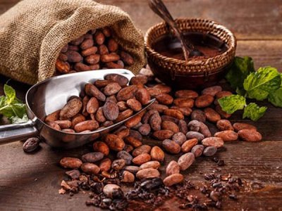 Buy Dried Raw Cacao Fermented Cocoa Beans +2763150