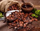 Buy Dried Raw Cacao Fermented Cocoa Beans +2763150