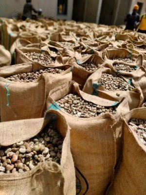 African Coffee Exporters & Importers +27631501216 